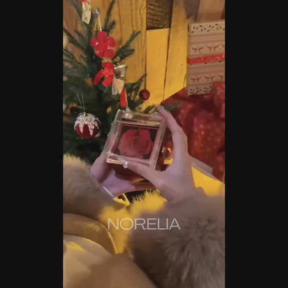 Scatola regalo rosa per gioielli